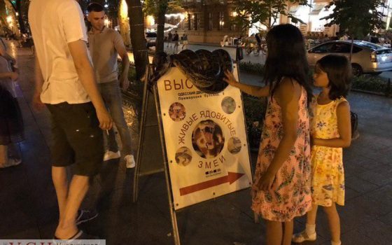 У Труханова решили снова повоевать с “пони”, а еще выведут на улицы города “туристическую инспекцию” «фото»