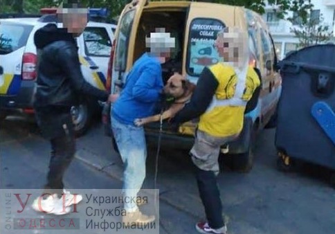 Бросалась на полицейского: в Одессе патрульные подстрелили бойцовскую собаку (фото, видео) «фото»