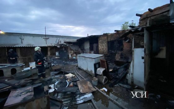 В Одессе горел приют для животных (фото, видео) ОБНОВЛЕНО «фото»