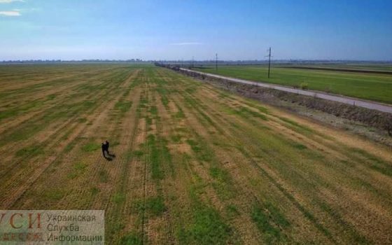 Засуха нанесет Украине ущерб на 15 миллиардов гривен, Одесская область – среди наиболее пострадавших «фото»