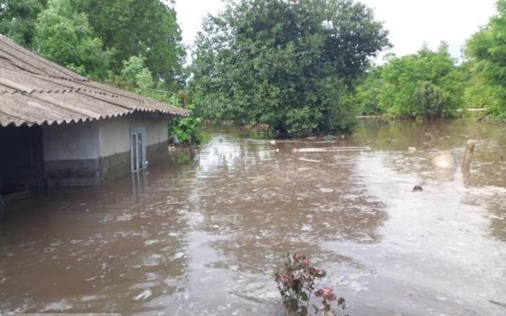 В Одесской области ливень подтопил 16 дворов: двое человек остались без жилья (фото) «фото»