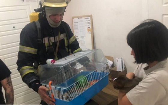 Пожарные вытащили из огня на Таирова кошку и ручную крысу (фото) «фото»