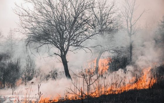 Июль и август будут жаркими: в Одесской области готовят авиацию для мониторинга пожарной ситуации «фото»