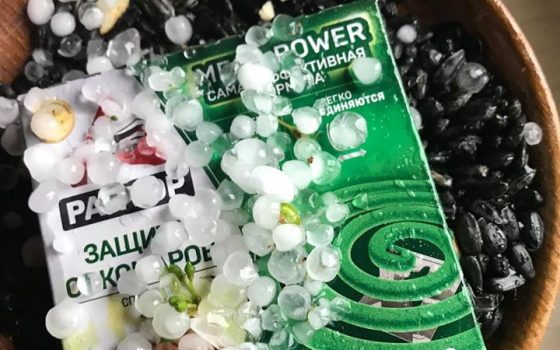 Под Одессой выпал град размером с вишню (фото и видео) «фото»