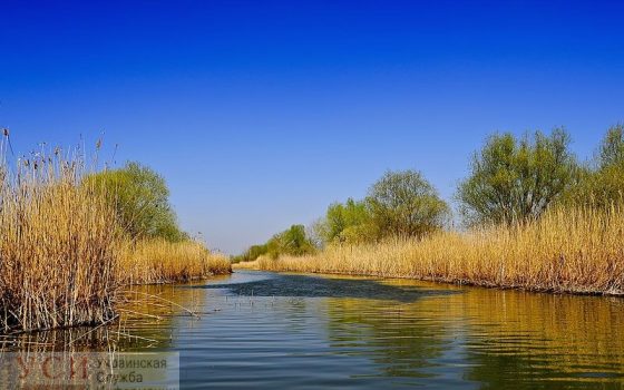 В Одесской области будут судить экс-директора национального парка: он купил жилой дом вместо офиса «фото»