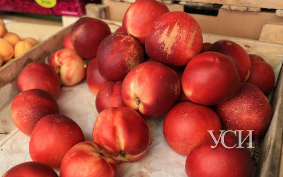 Фруктовый сезон на одесских рынках в разгаре, но цены кусаются (фоторепортаж) «фото»
