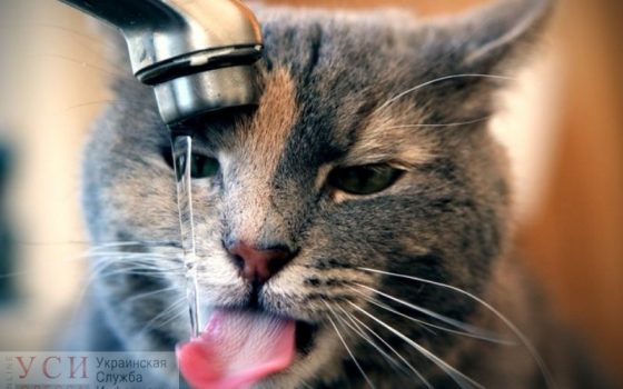 На Фонтане отключат воду «фото»