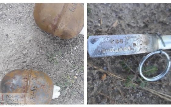 Во дворе под Одессой взорвалась граната: пятеро пострадали (фото) «фото»