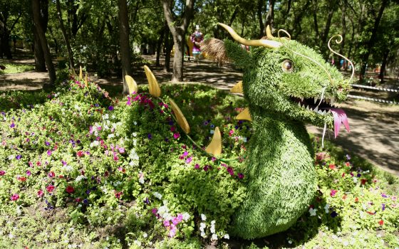 100 тысяч цветов: в парке Савицкого открылась необычная выставка (фоторепортаж) «фото»