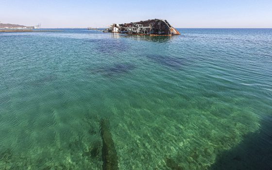 Минздрав не рекомендует купаться на четырех пляжах Одессы «фото»