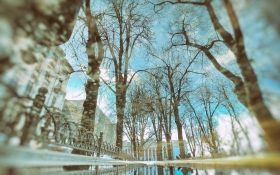 В четверг в Одессе ожидается переменная облачность, кратковременный дождь и гроза «фото»