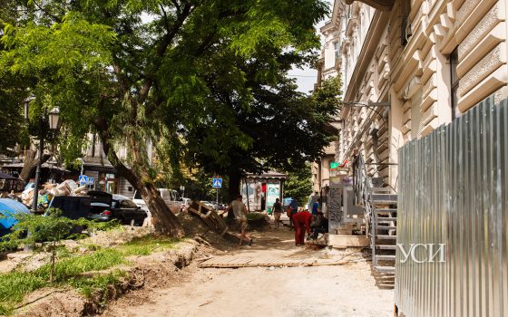 Молодую акацию на Дерибасовской хотят срубить: она мешает владельцу заведения напротив (фото) «фото»