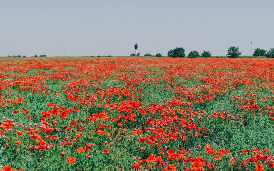 Одесситам обещают дождливое воскресенье «фото»