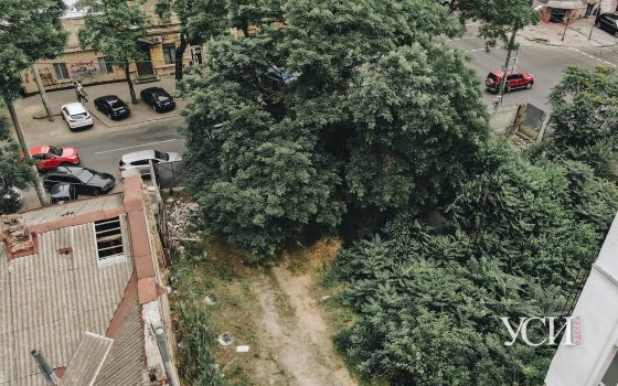 Жители Большой Арнаутской требуют убрать свалку, которой уже больше 10 лет (фото) «фото»