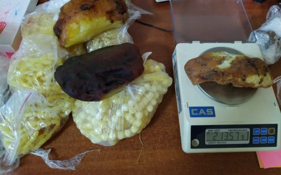 Из Черноморска на пароме пытались переправить почти 23 кг янтаря (фото, видео) «фото»