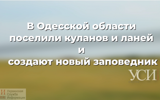 Сафари в степи: в Одесской области поселили куланов и ланей и создают новый заповедник (фото, видео) «фото»