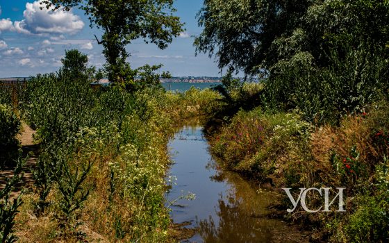 Шабо в начале лета: лиман, виноделие и экскурсия в другую эпоху (фоторепортаж) «фото»