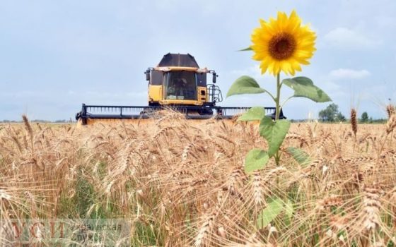 Климатическая революция для одесских аграриев: засуха и миллиардные убытки не закончатся – нужно менять стратегию «фото»