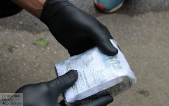 В Южном задержали парня, который получил курьером полкилограмма кокаина (фото) «фото»