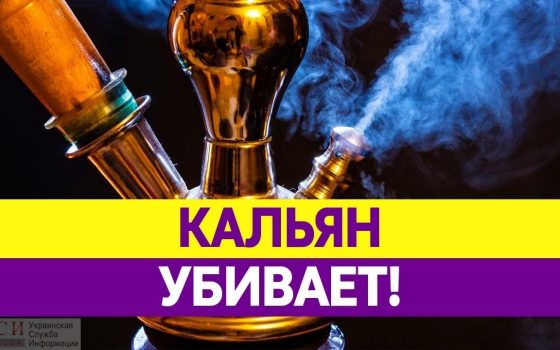 Труханов vs кальяны: в мэрии хотят устанавливать таблички об опасности курения «фото»