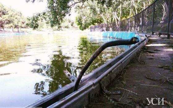 В парке Победы в третий раз украли кабель – теперь подсвечивается только половина пруда (фото) «фото»