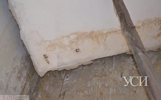 Обвисший потолок и потрескавшиеся стены: в парадных на Шмидта нужен срочный ремонт (фото, видео) «фото»