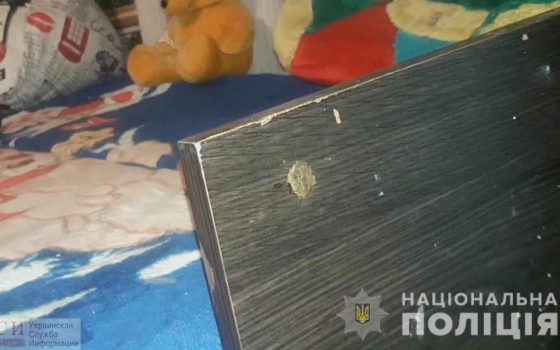 В Одесской области мать избивала и сажала на цепь свою малолетнюю дочь (видео) «фото»