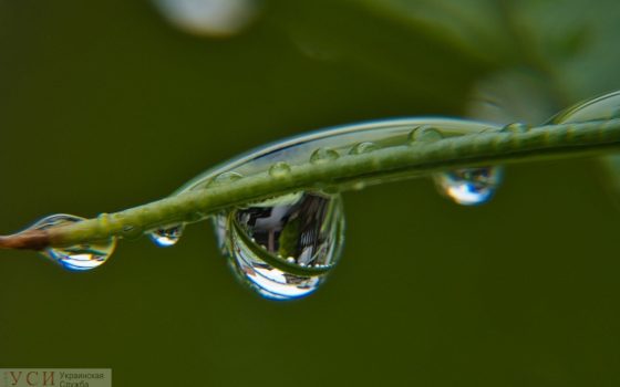 В Одессе и области пойдет дождь, но будет так же жарко «фото»