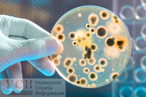 В Одесской области на треть вырос уровень заболеваемости кишечными инфекциями «фото»