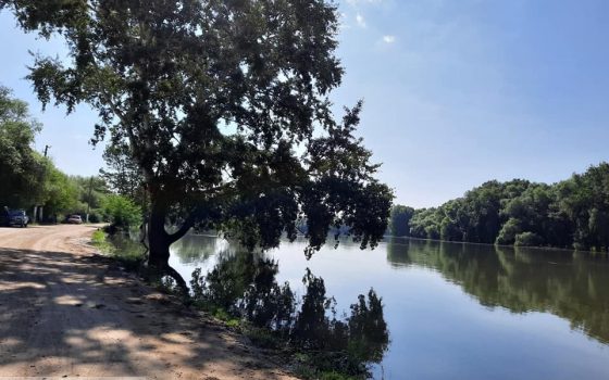 Пока без наводнения: уровень воды на Днестре стабилизировался (фото) «фото»