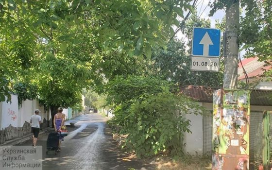 На Чубаевке два переулка станут односторонними (схема) «фото»