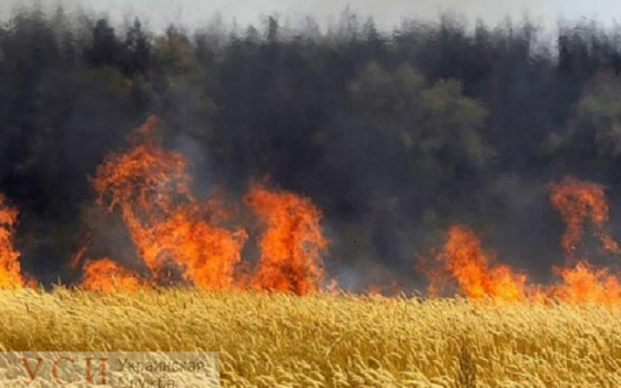 В Одесской области объявлен чрезвычайный уровень пожарной опасности «фото»