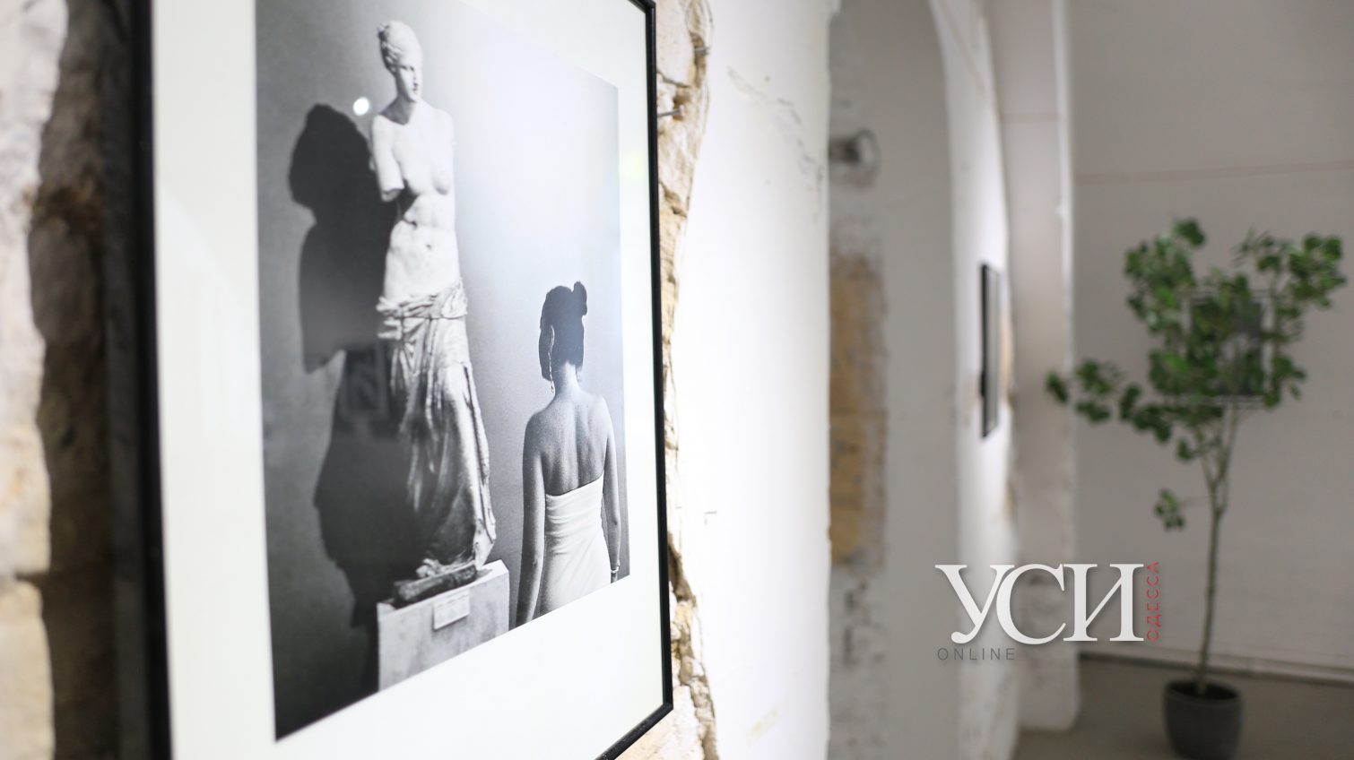 “Всматриваясь в себя”: в одесском музее открылась черно-белая выставка (фоторепортаж) «фото»