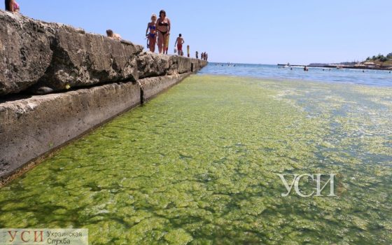 МОЗ не рекомендует купаться на 9-ти одесских пляжах «фото»