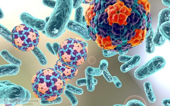 Из-за коронавируса в Одесской области стало меньше инфекционных заболеваний «фото»