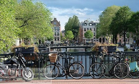 Голландцам разрешили въезд в Украину, а украинцам в Нидерланды – пока только транзитом «фото»