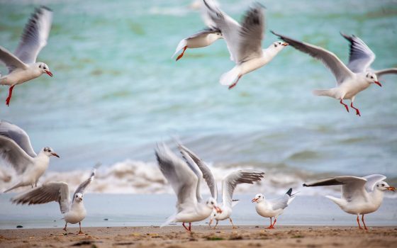На Одессу надвигается буря «фото»