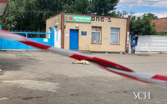 Подробности вспышки Covid-19 в Александровской психбольнице: медик пришел больной на работу «фото»