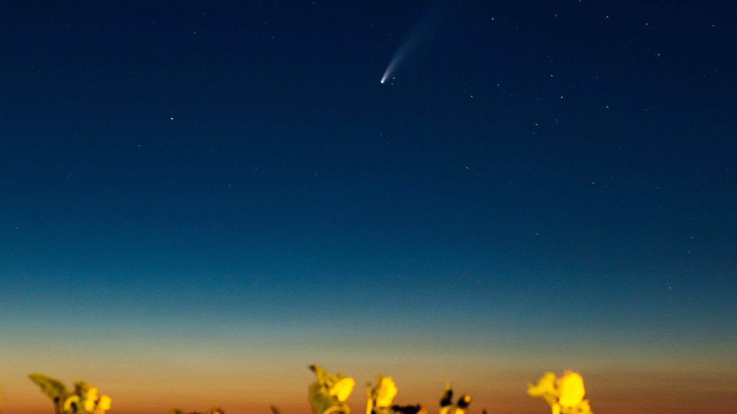 Редкая комета пролетает над Землей: виды между Куяльницким и Хаджибейским лиманом (фоторепортаж) «фото»