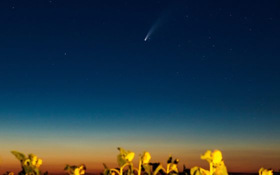 Редкая комета пролетает над Землей: виды между Куяльницким и Хаджибейским лиманом (фоторепортаж) «фото»