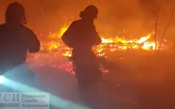 В Черноморске горела территория бывшей базы отдыха “Радужный”: огонь мог охватить соседние строения (видео) «фото»
