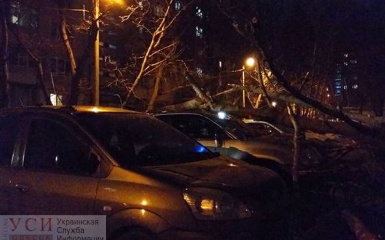 Мэрия заплатит одесситке почти 335 тысяч гривен за автомобиль, на который упало дерево «фото»