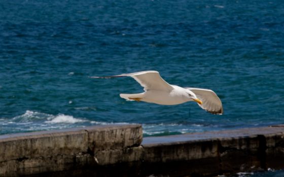 В Одессе будет жаркая среда «фото»