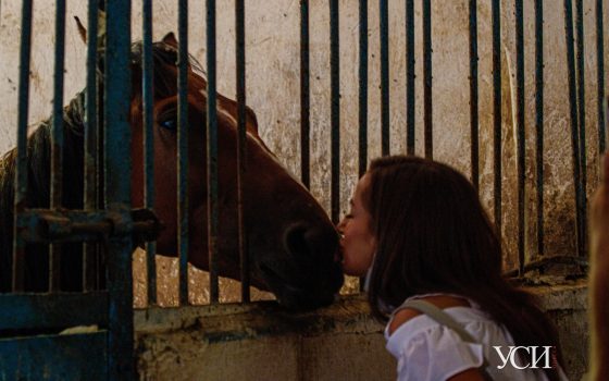 Голодные будни Одесского ипподрома: лошади рискуют остаться без еды, а здания в плачевном состоянии (фото, видео) «фото»