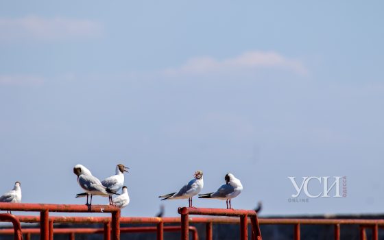 В понедельник возможны кратковременные дожди «фото»