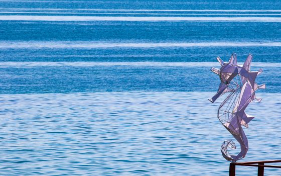 В Одессе в среду будет теплая погода «фото»