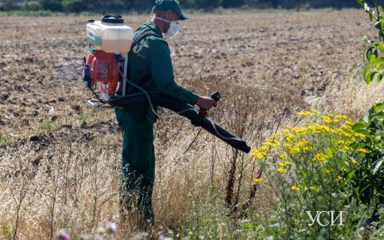 Коммунальные службы вышли на “войну” с амброзией: начали с Малиновского района (фото) «фото»