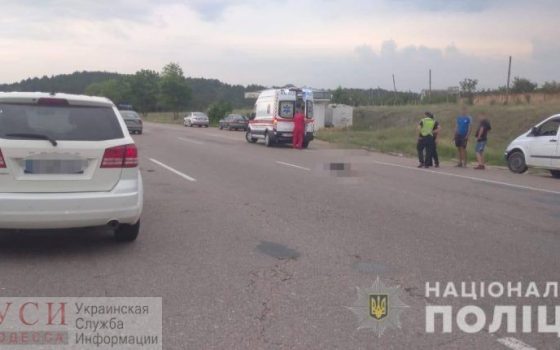 Водителю, сбившему 10-летнюю девочку под Алтестово, объявили о подозрении «фото»