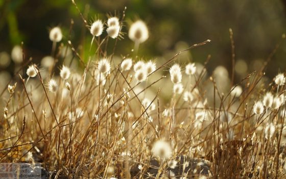 Одесситов ожидает теплый четверг «фото»