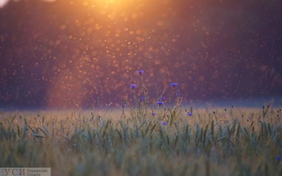 Во вторник одесситам обещают грозу «фото»